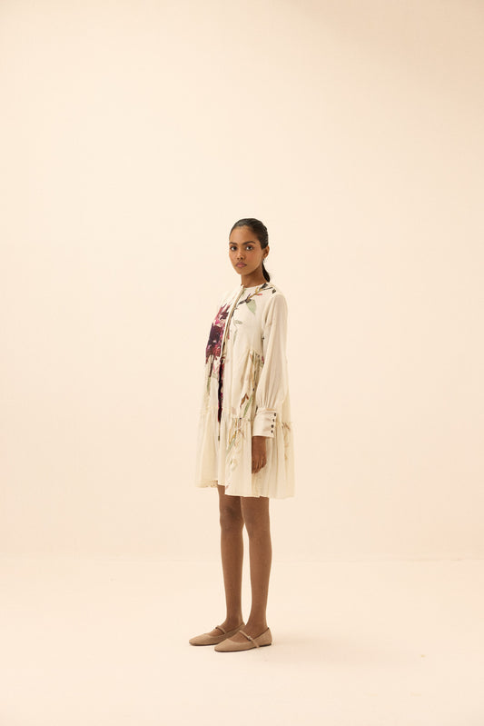 Raisin Dress