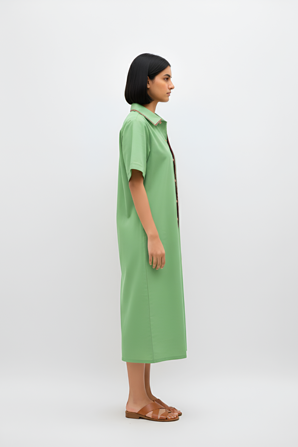 Asparagus Green-Tuscan Red Shirt Dress