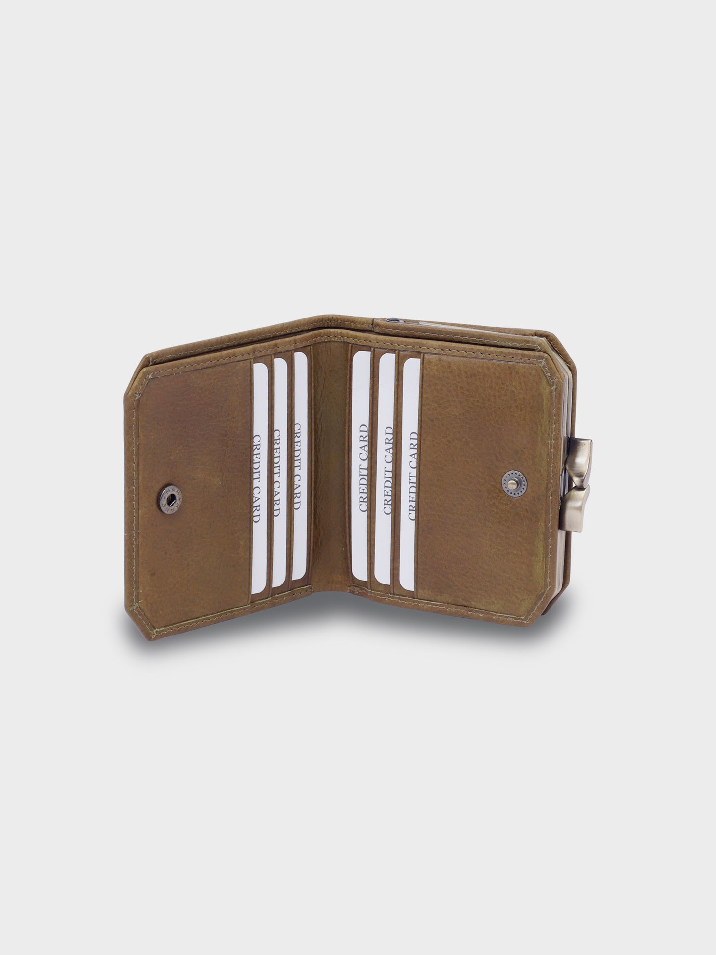 Pandora's Purse (Olive Green)