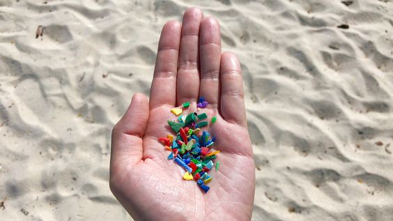 What Are Micro beads And Why Are They Bad For The Environment?