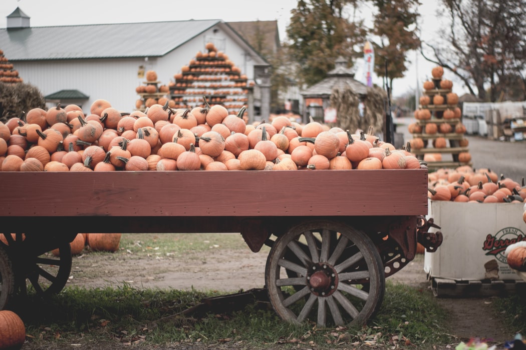 Choose Green: Amazing Benefits Of Buying Your Groceries Locally!