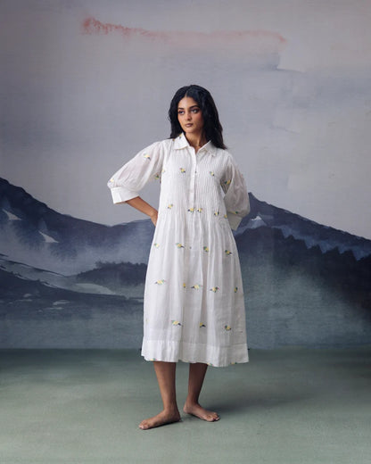 Pakhi Dress