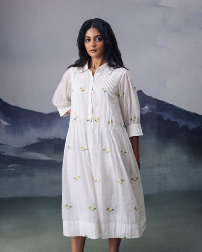 Pakhi Dress