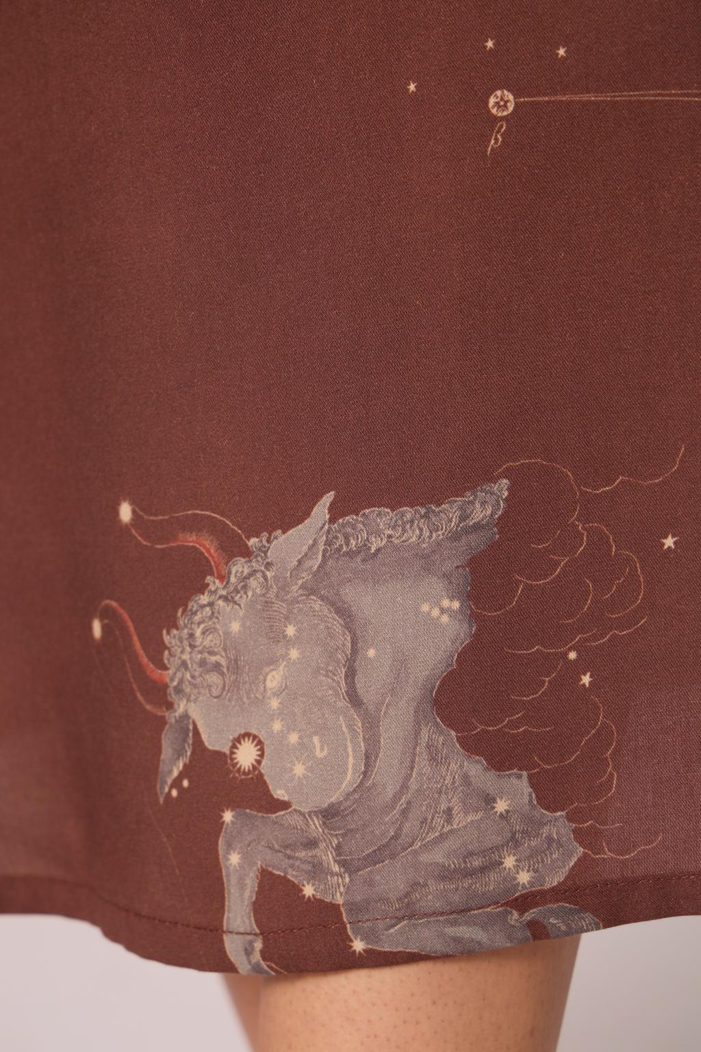 Saira Brown Zodiac Print Maxi Dress