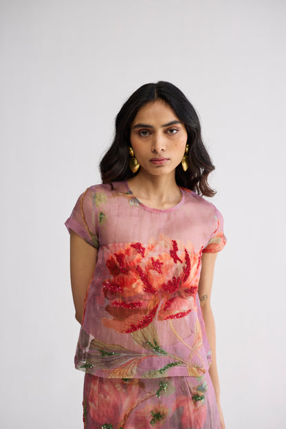 BERRY EMBROIDERED ORGANZA TOP & SKIRT SET