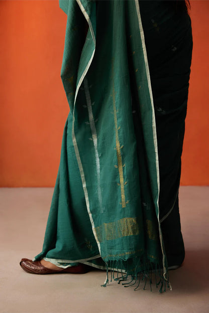 Pallav Saree