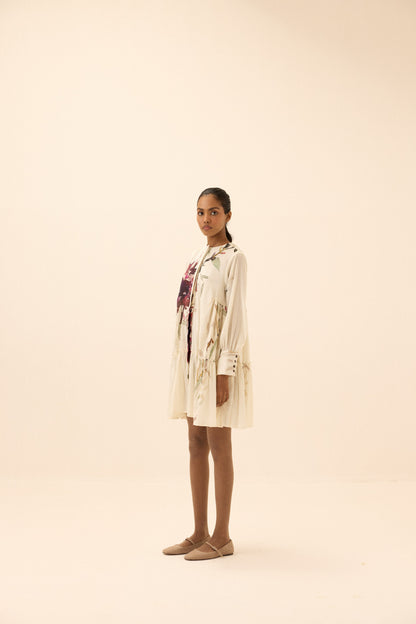 Raisin Dress
