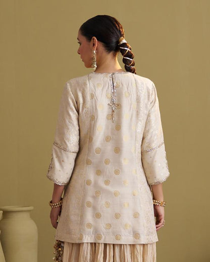 The Sona Chandi Banarasi Muga Silk Top with Handwork