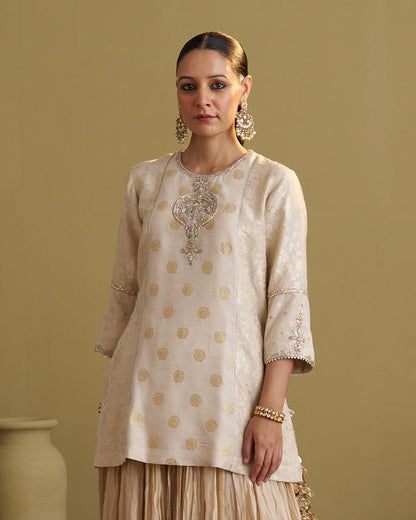 The Sona Chandi Banarasi Muga Silk Top with Handwork