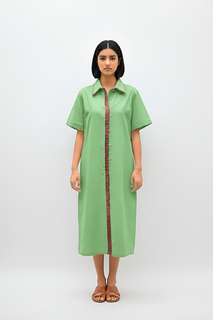 Asparagus Green-Tuscan Red Shirt Dress
