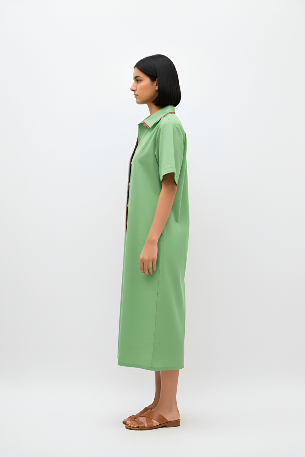 Asparagus Green-Tuscan Red Shirt Dress