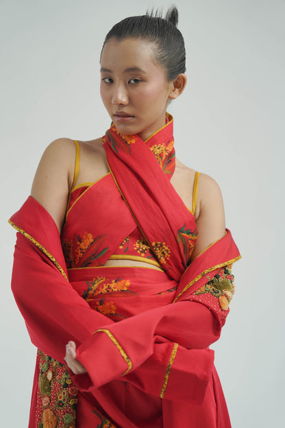 Red Firefly Drape Saree With Blouse