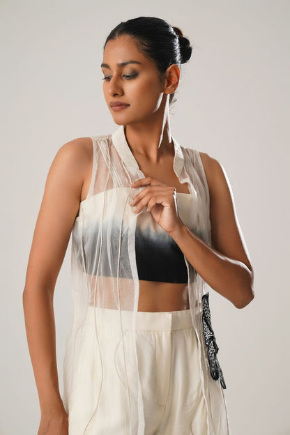 MJ Ombre Top + Cigarette Pants + Organza Jacket