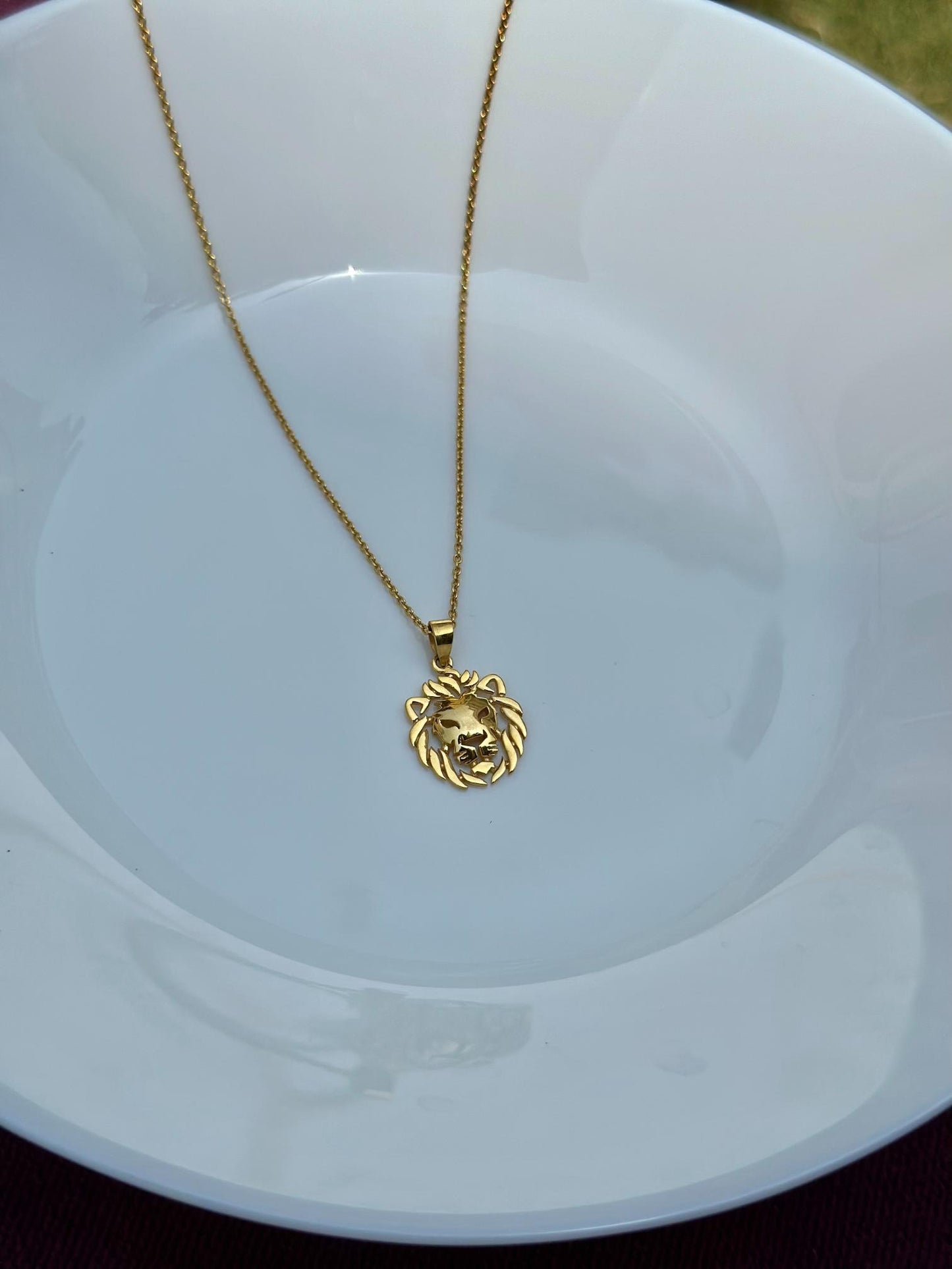 Lion Pendant + Chain