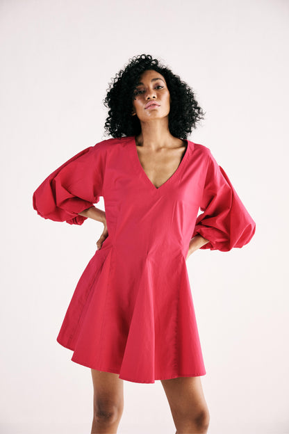 Flamingo Blaze Dress