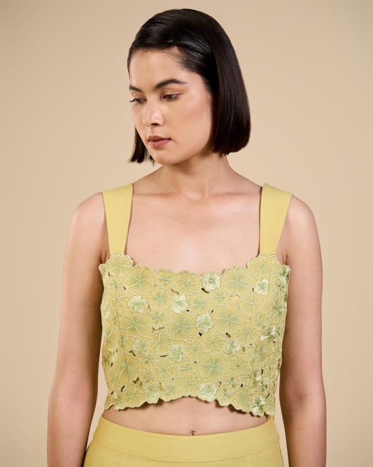 Sage Green Embroidred Bustier