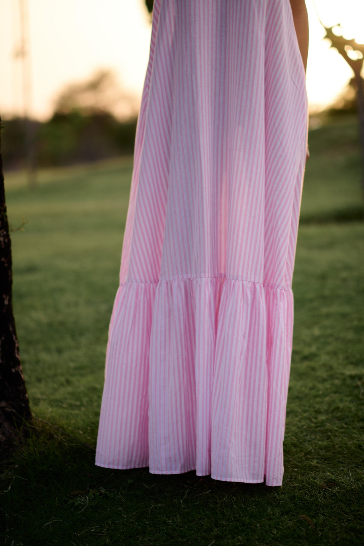 Birds Of Paradise (Pink Madras Stripes)