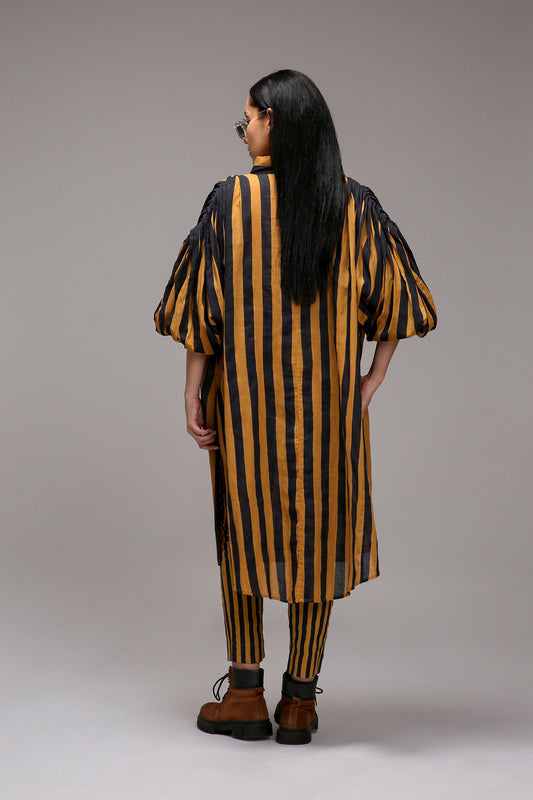 Tan-Brown Blue Striped SE Pant