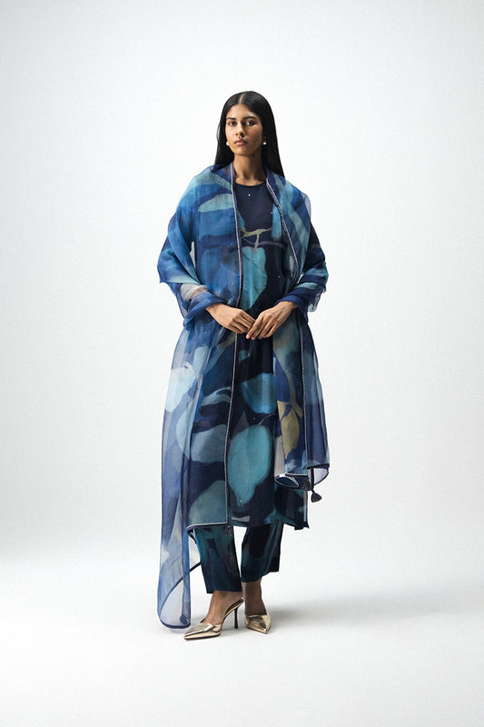 Blue Lagoon Organza Dupatta