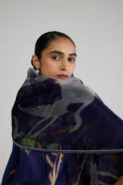 FUJI ORGANZA DUPATTA