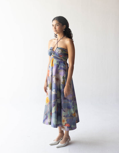 Blueberry Grove Dress