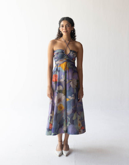 Blueberry Grove Dress