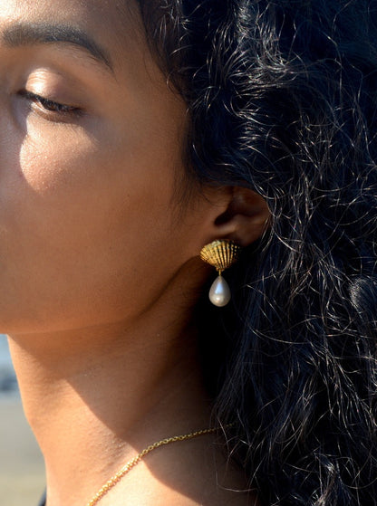 Coral Earrings