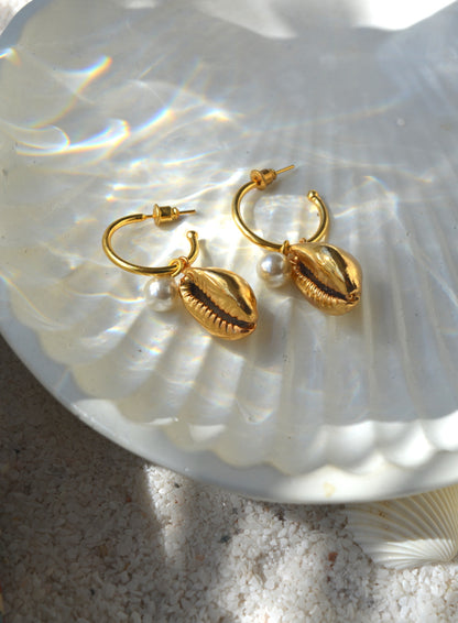 Cowrie Earrings